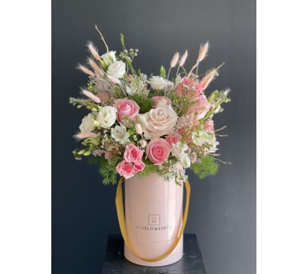 Allisons Garden ( on the picture standart size)