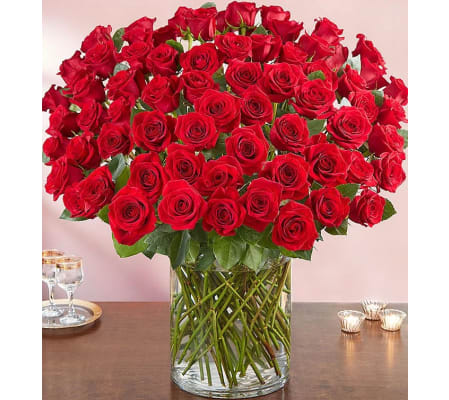 100 Red Rose Elegance