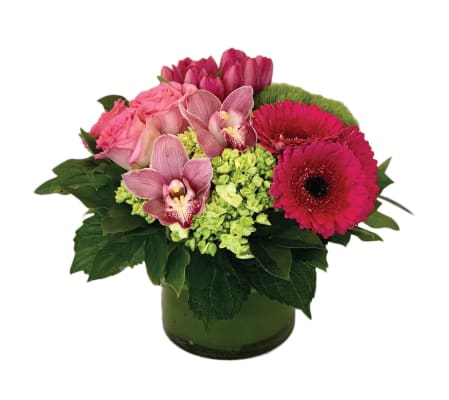 Always A Beauty Queen