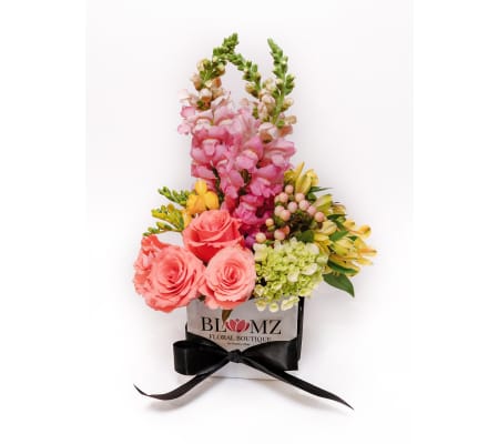 Small Designers Choice Blumz Box