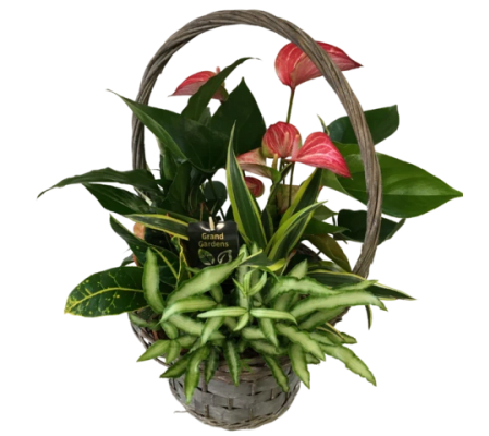 Tropical Wicker Basket