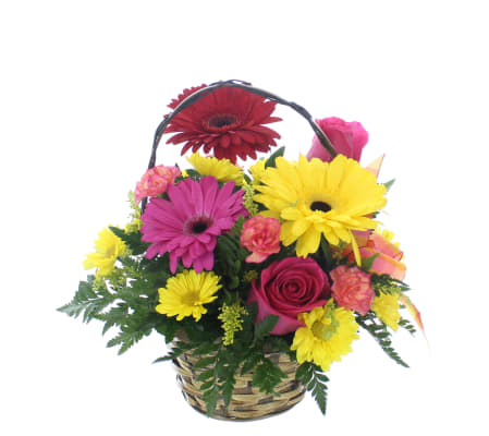 My Mother-in-Law, My Friend Arrangement