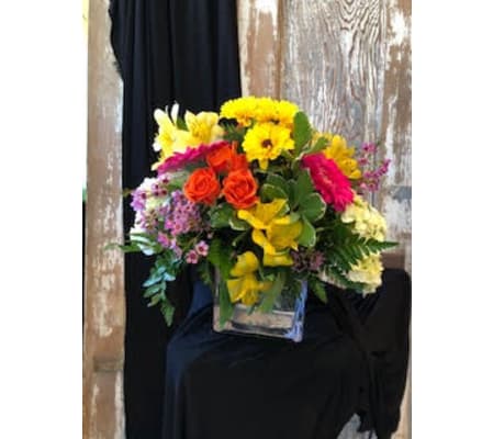 Color Splash Surprise