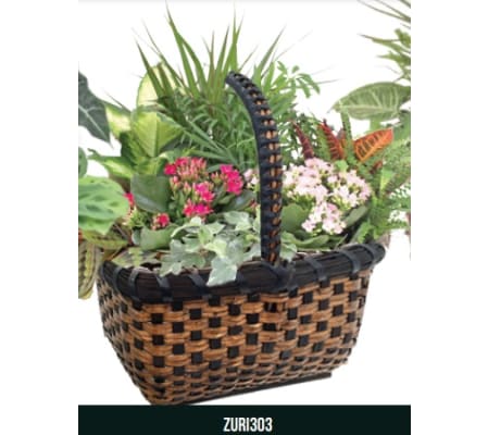Zuri Planter Garden