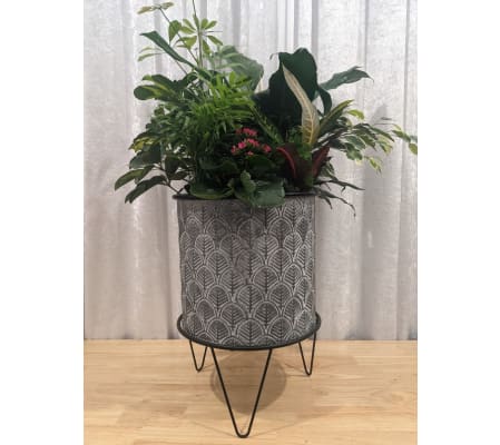 Blumz Large Planter