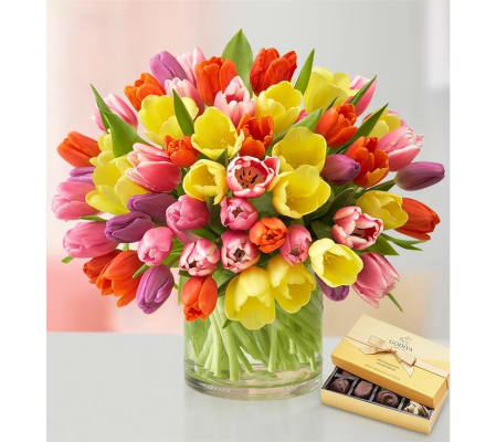 Tulipan Glamour With Chocolate