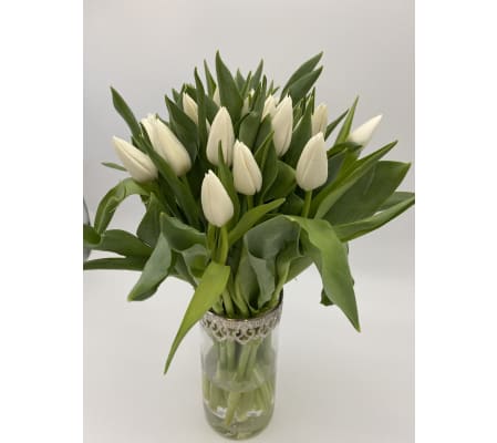 Classy white tulips