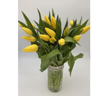 Hello Yellow Tulips.