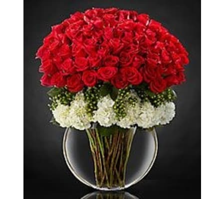 Modern Extravaganza Roses