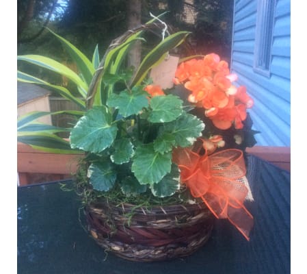 European Plant Basket with Blooming plant