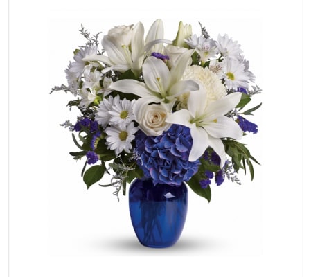 Forever in Your Skies