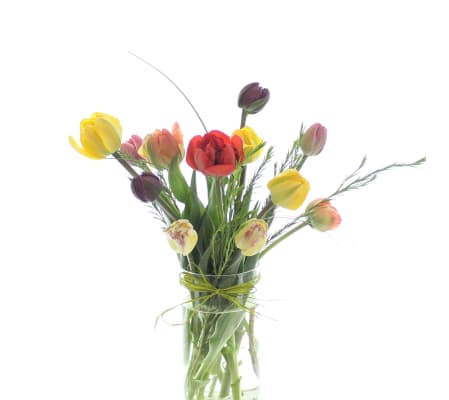 Freshly Cut This Morning