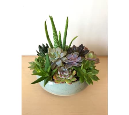 Marvelous Succulent Garden