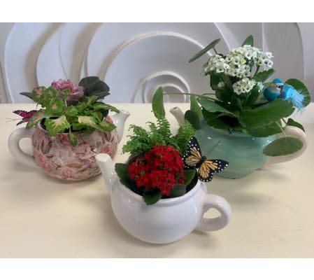 Teapot Planter