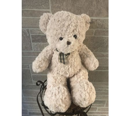 Cuddly Plush Teddy Bear