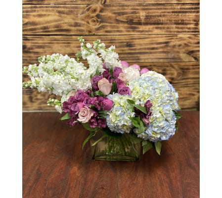 Magnificent Midnight