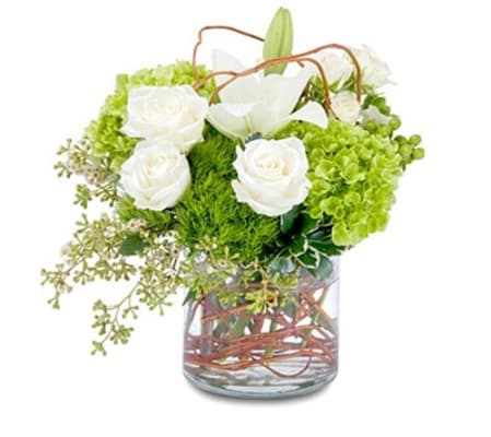 Stylish for any Occasion