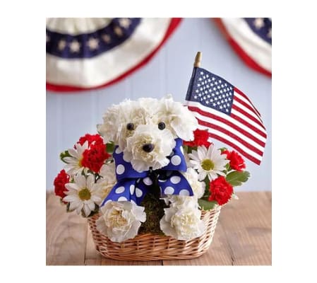 Yankee Doodle Dog Gone it!