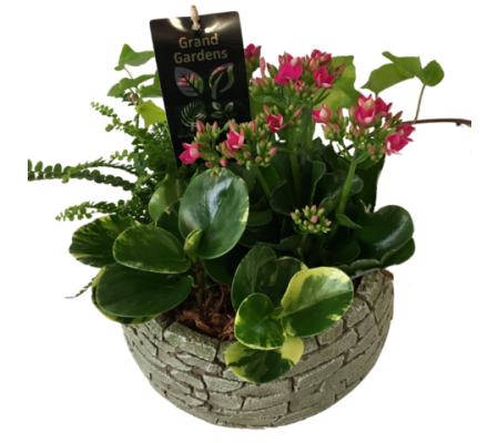 Tropical Brick Planter