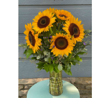 Sunflower Special