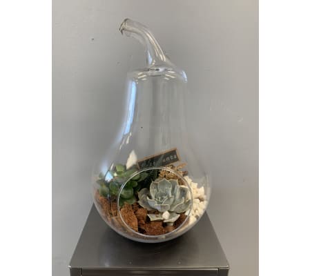 Pear Shaped Glass Terrarium