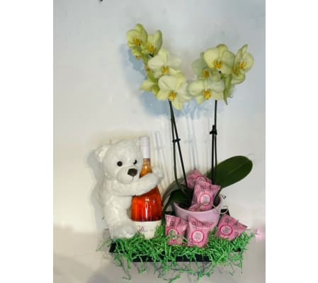 Hugs and Love Collection