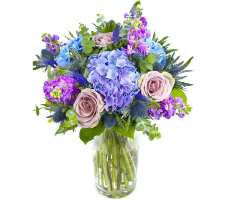 Butterfly’s Garden