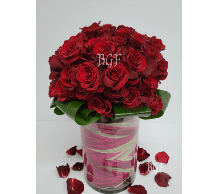 Red Roses Elegance