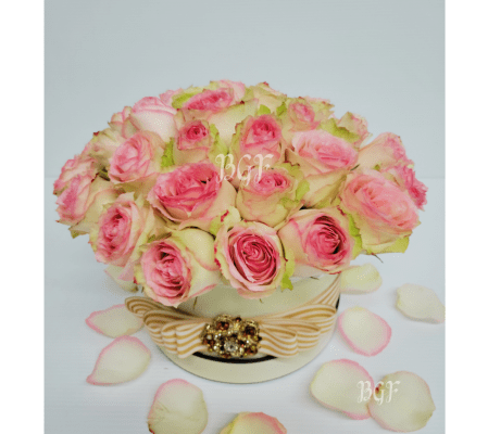 Elegant Pink Roses in Box