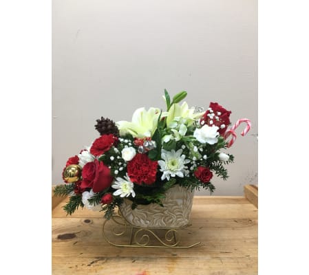 Sophisticated sleigh