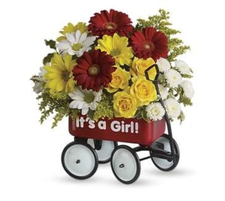 tf baby wagon for girl