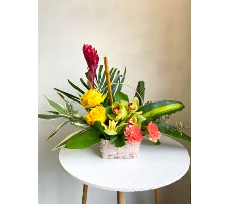 Fall Tropical Paradise