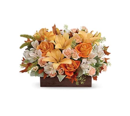 Teleflora's Fall Chic Arrangement