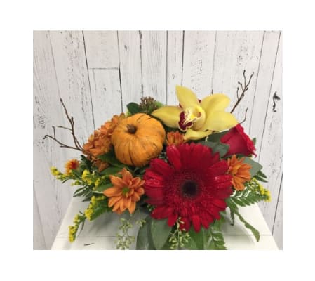 Thankful for You This Year Seasonal