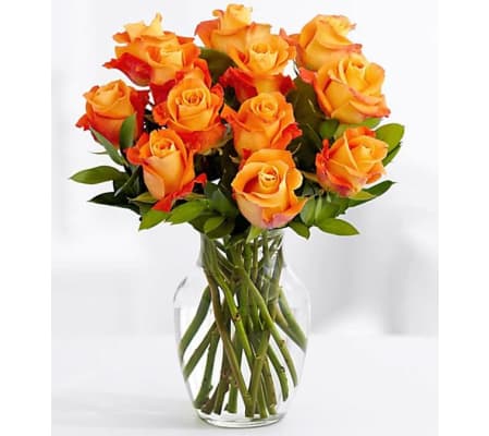 12 Classic Orange Roses
