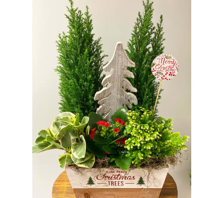 Mixed Christmas Themed Planter