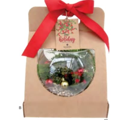 Christmas Rosebowl Dish Garden