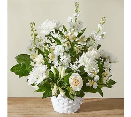 Our Eternal Affection