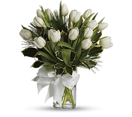 Tulips in Winter Vase