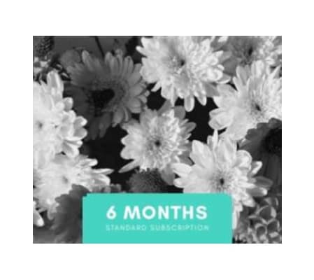 Subscription Florals - Small Wrapped Bouquet