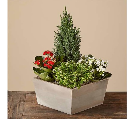 Christmas Garden by Conny's Flower Shop