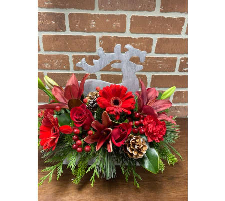 Run Run Run Reindeer