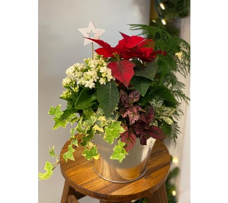 Christmas Tin Mixed Planter