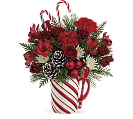 Teleflor'a Sweet Peppermint Stripes Mug