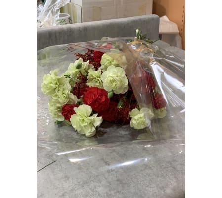 SPECIAL!! 12 Stem Mini Carn