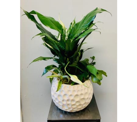 Iridescent Round Planter