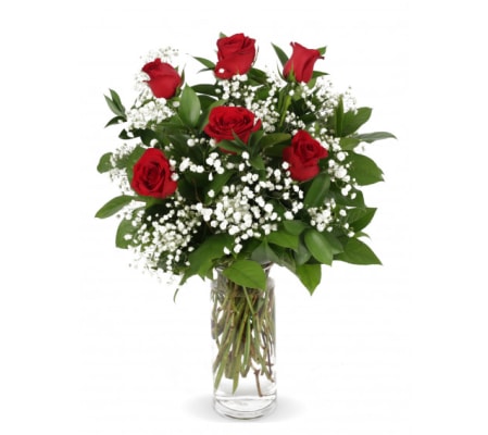 Six Classic Red Roses