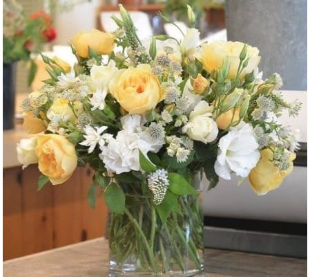 Lets the Sun Shine in