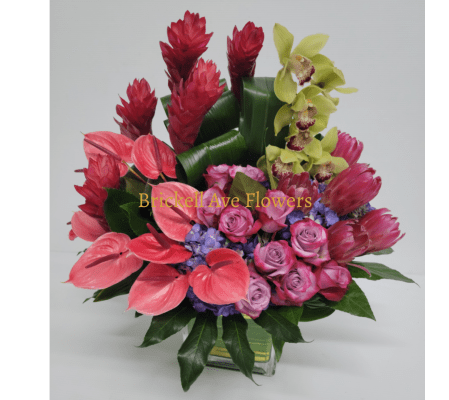 A Tropical Sophistication