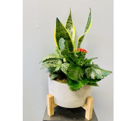 Modern Indoor Garden Planter